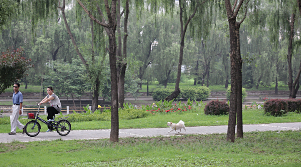 Beijing - Riding the dog along the atificial river