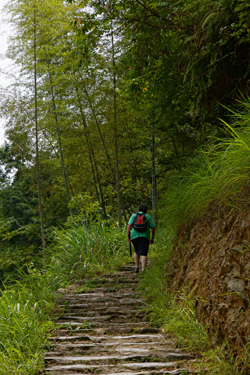 Longji Terraced Rice Paddies and the Yao People - 