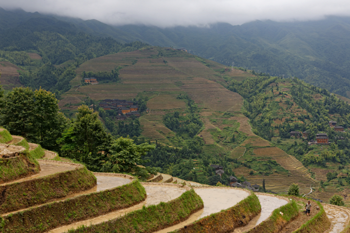 Longji Terraced Rice Paddies and the Yao People - 