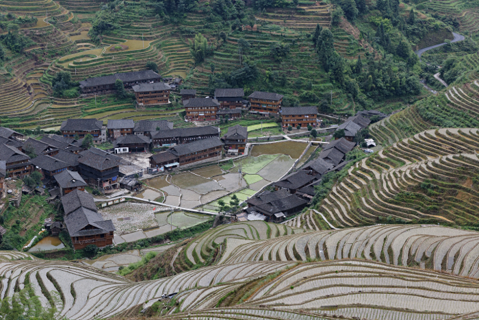 Longji Terraced Rice Paddies and the Yao People - The Longji Valley