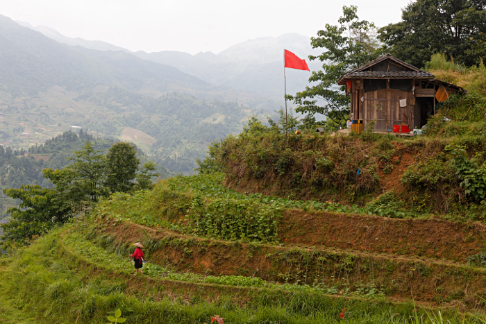 Longji Terraced Rice Paddies and the Yao People - 