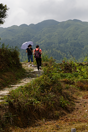 Longji Terraced Rice Paddies and the Yao People - 