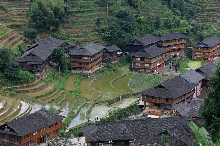 Longji Terraced Rice Paddies and the Yao People - The main village. - Even down here rice is grown.