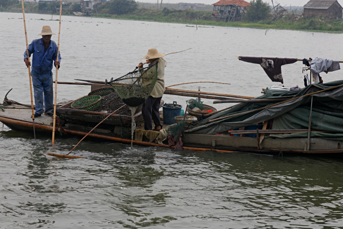 Shanghai Water Towns - Shell Fishermen