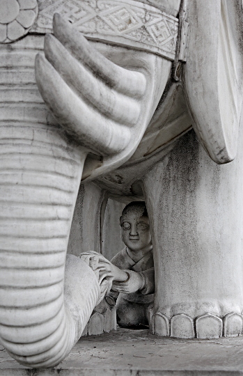 Szechuan Province, China
 - Peek-a-boo Under an Elephant Idol