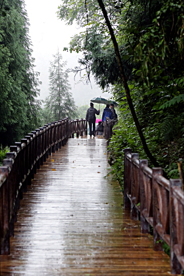 Mt Emei And Leshan - Walking on a Wet Boardwalk at Mount Emei