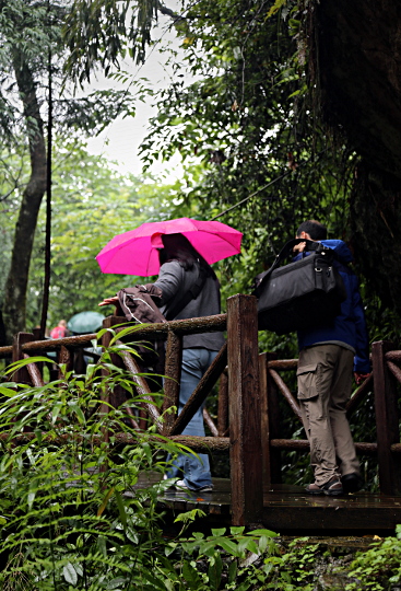 Mt Emei And Leshan - Mount Emei Boardwalk