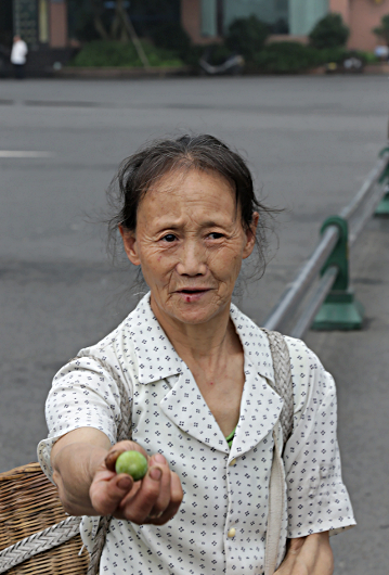 Mt Emei And Leshan - Plum Seller, Entrance to Mt Emei National Park