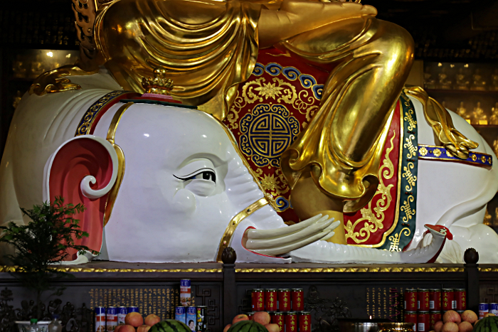 Mt Emei And Leshan - Elephant Riding