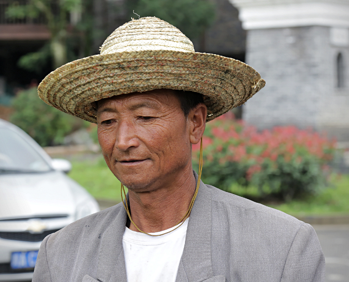 Mt Emei And Leshan - Chinese Gardener