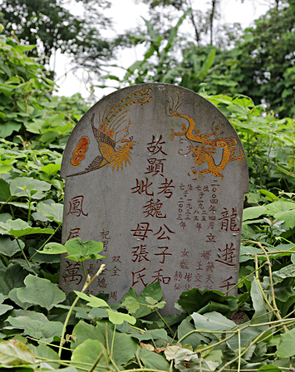 Szechuan Province, China
 - Graves of Liu Yuan and his family in Shuangliu county, just outside of Changdu. - We needed machetes to clear our way. - The graves were moved here to protect them during the Cultural Revolution.