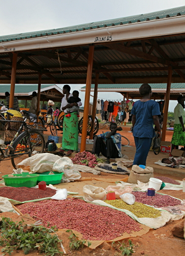 Market Day, Uganda - Grains and Legumes