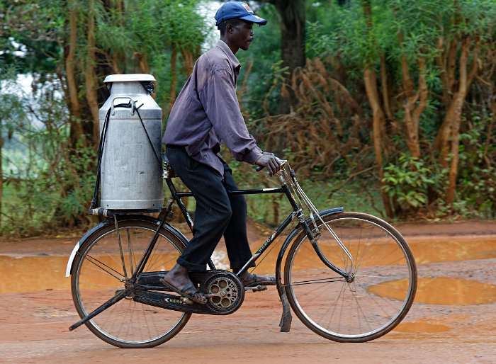 The Two Wheeled Taxis of Mbale - 