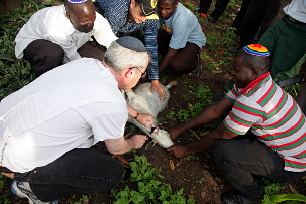 Visiting the Abayudaya in Nabugoye, Uganda - The Chop