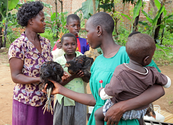 Visiting the Abayudaya Tribe in Putti, Uganda - Passing out the Hens