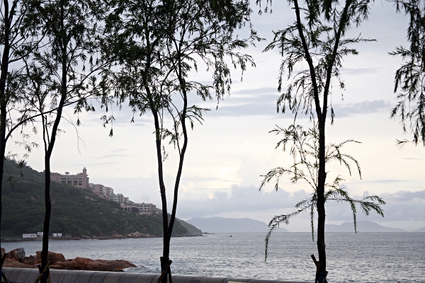 Hong Kong - Trees at Stanley