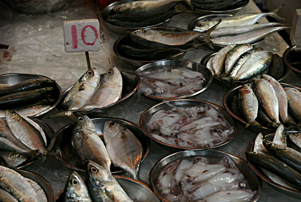 Hong Kong - Fish Market