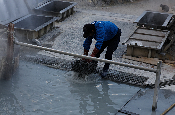 Owakudani Black Eggs, Japan
 - Pulling baskets of black eggs from the hot sulphur water. - Note the big red heatproof gloves.