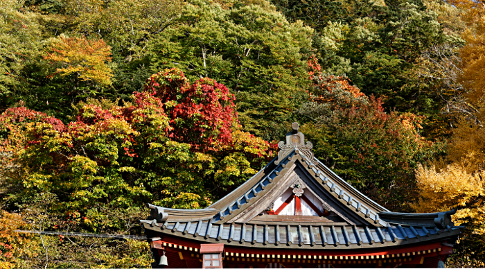 Nikko -- at the Shrine of Shogun Tokugawa Ieyasu and his grandson Iemitsu - Futarasan Shrine amongst the trees