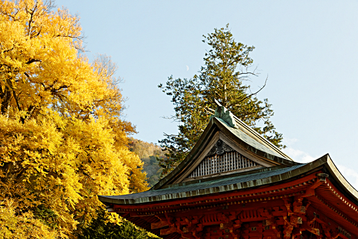 Nikko -- at the Shrine of Shogun Tokugawa Ieyasu and his grandson Iemitsu - Shrine amongst the trees