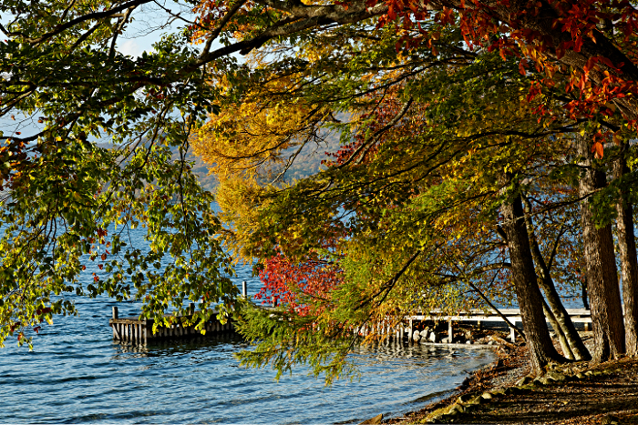 Nikko -- at the Shrine of Shogun Tokugawa Ieyasu and his grandson Iemitsu - Trees and Jetty