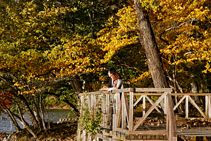 Nikko -- at the Shrine of Shogun Tokugawa Ieyasu and his grandson Iemitsu - Boardwalk Lookout