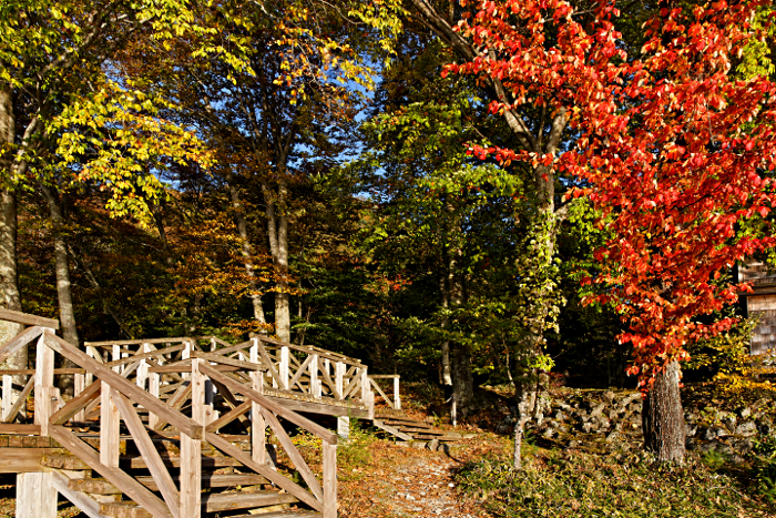 Nikko -- at the Shrine of Shogun Tokugawa Ieyasu and his grandson Iemitsu - Boardwalk Lookout