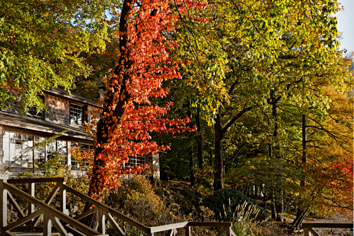 Nikko -- at the Shrine of Shogun Tokugawa Ieyasu and his grandson Iemitsu - Italian Embassy Villa