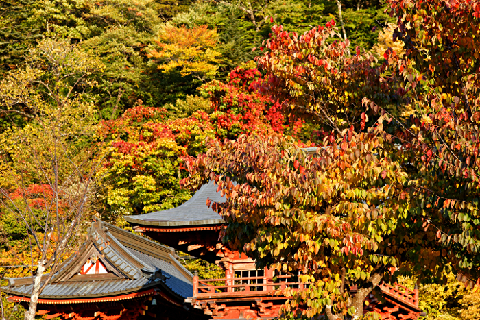 Nikko -- at the Shrine of Shogun Tokugawa Ieyasu and his grandson Iemitsu - Sunset