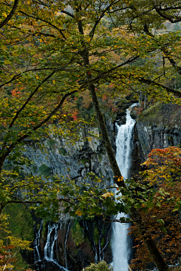 Nikko -- at the Shrine of Shogun Tokugawa Ieyasu and his grandson Iemitsu - Kegon Falls