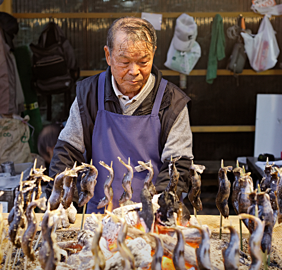 Nikko -- at the Shrine of Shogun Tokugawa Ieyasu and his grandson Iemitsu - Fish Smoker