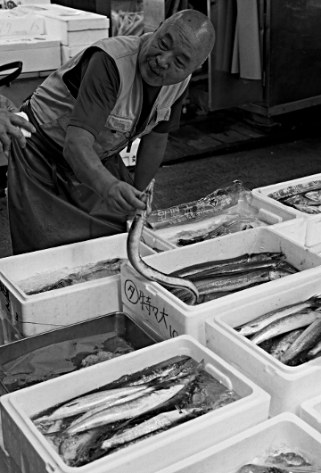 The largest Fish Market in the world - Like to Buy Some of My Eel?