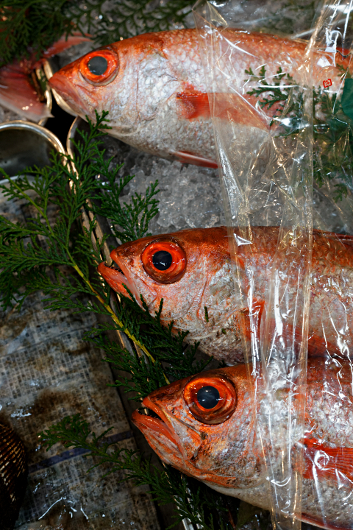 The largest Fish Market in the world - Wrapped Red Fish