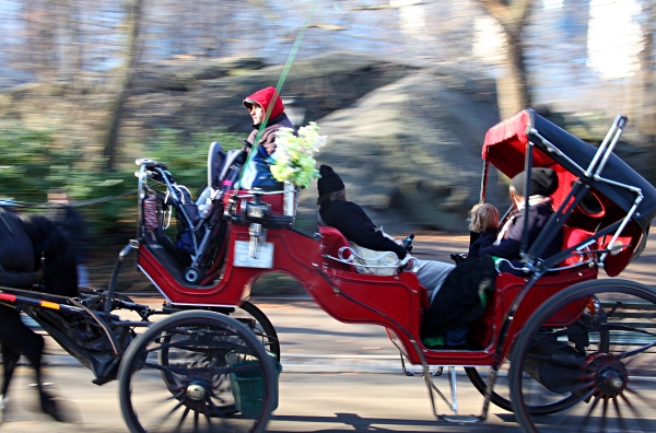 Hansom Cab in Central Park