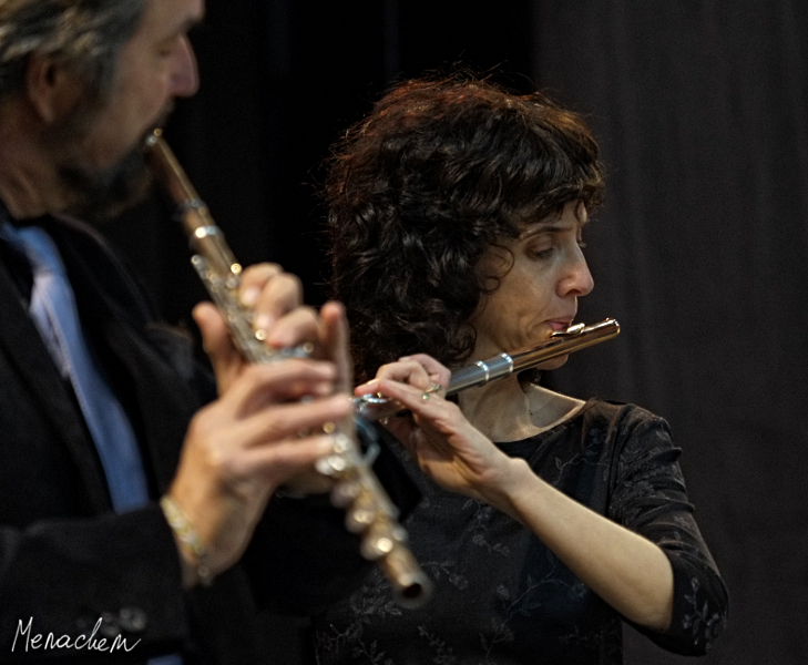 Flutes, Harp and Viola Concert - 