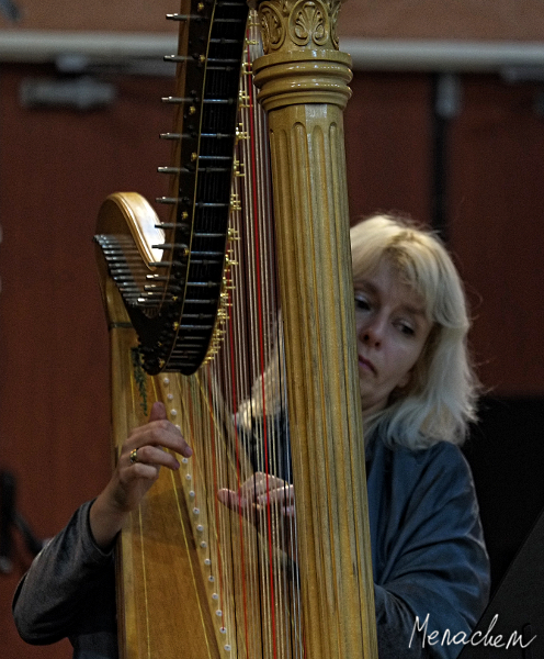 Flutes, Harp and Viola Concert - 