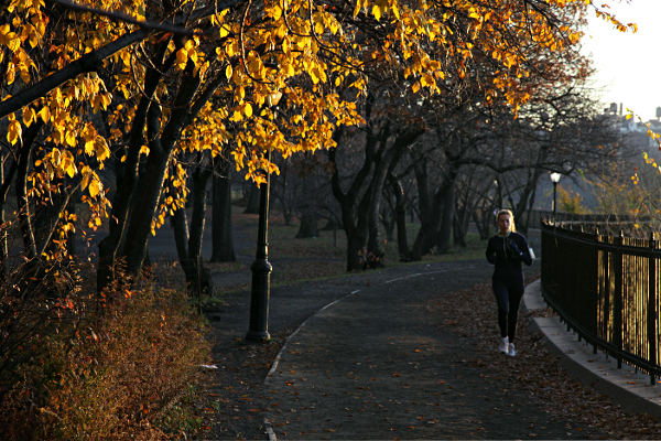 New York in November 2011 - Central Park Run