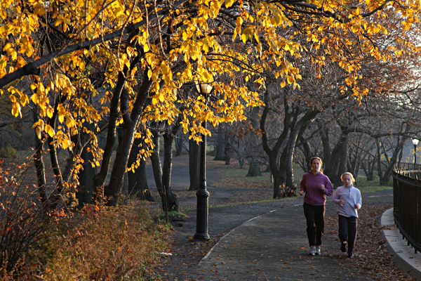 New York in November 2011 - Central Park Run