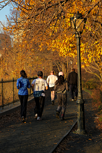 New York in November 2011 - Central Park Run