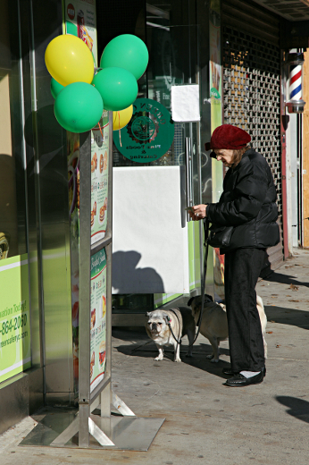 New York in November 2011 - Dog Walker, Upper West Side