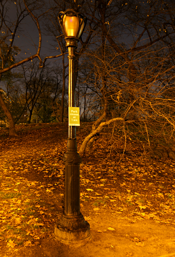 New York in November 2011 - Central Park