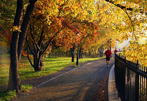 Early Morning Run Central Park