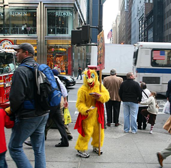 A week in New York City - Chickenman