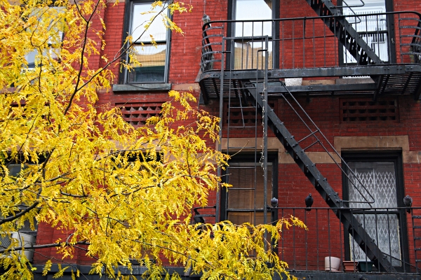 A week in New York City - Fire Stairs