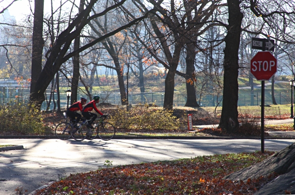 Autumn Bicycle Riders in Central Park