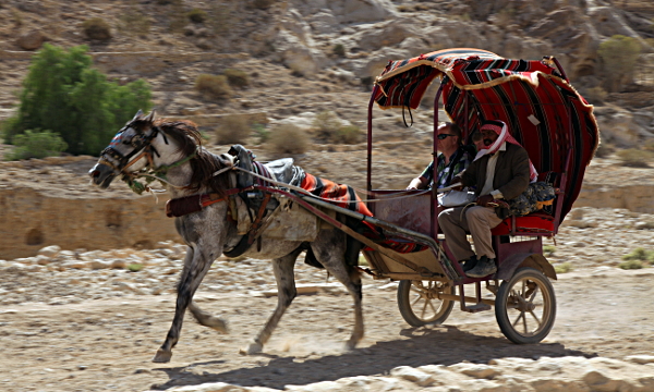 Petra - For those too lazy or unable to walk the distance, - there are donkeys, camels . . . and suspensionless chariots