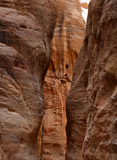 Petra - In the Siq