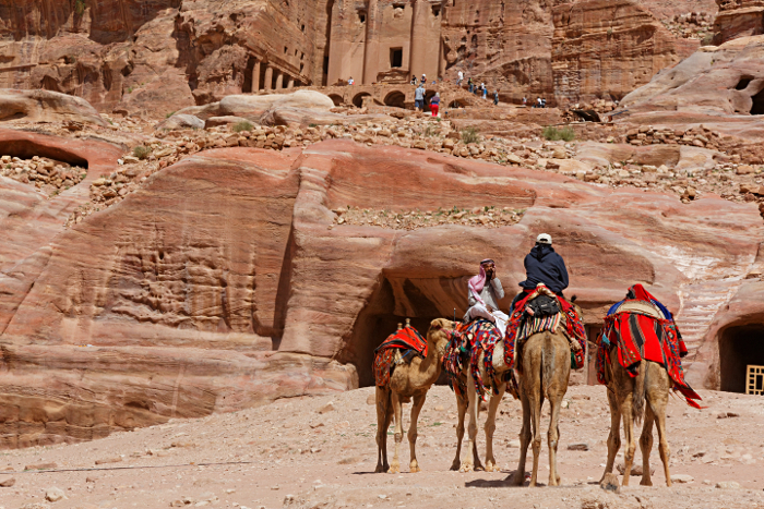 Petra - Camels