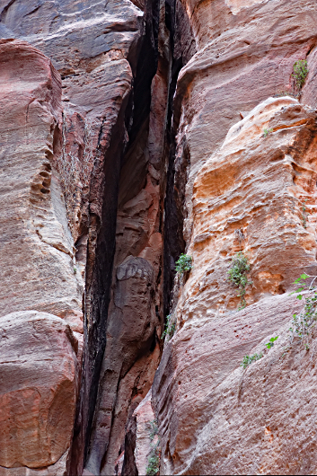 Petra - Siq wall