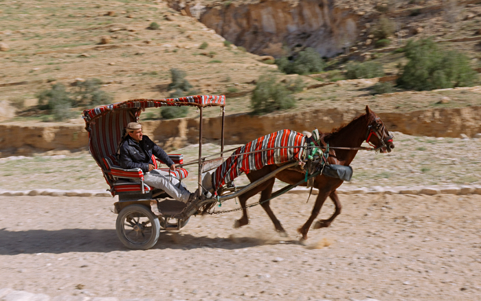 Petra - Chariot along side of Wadi Musa